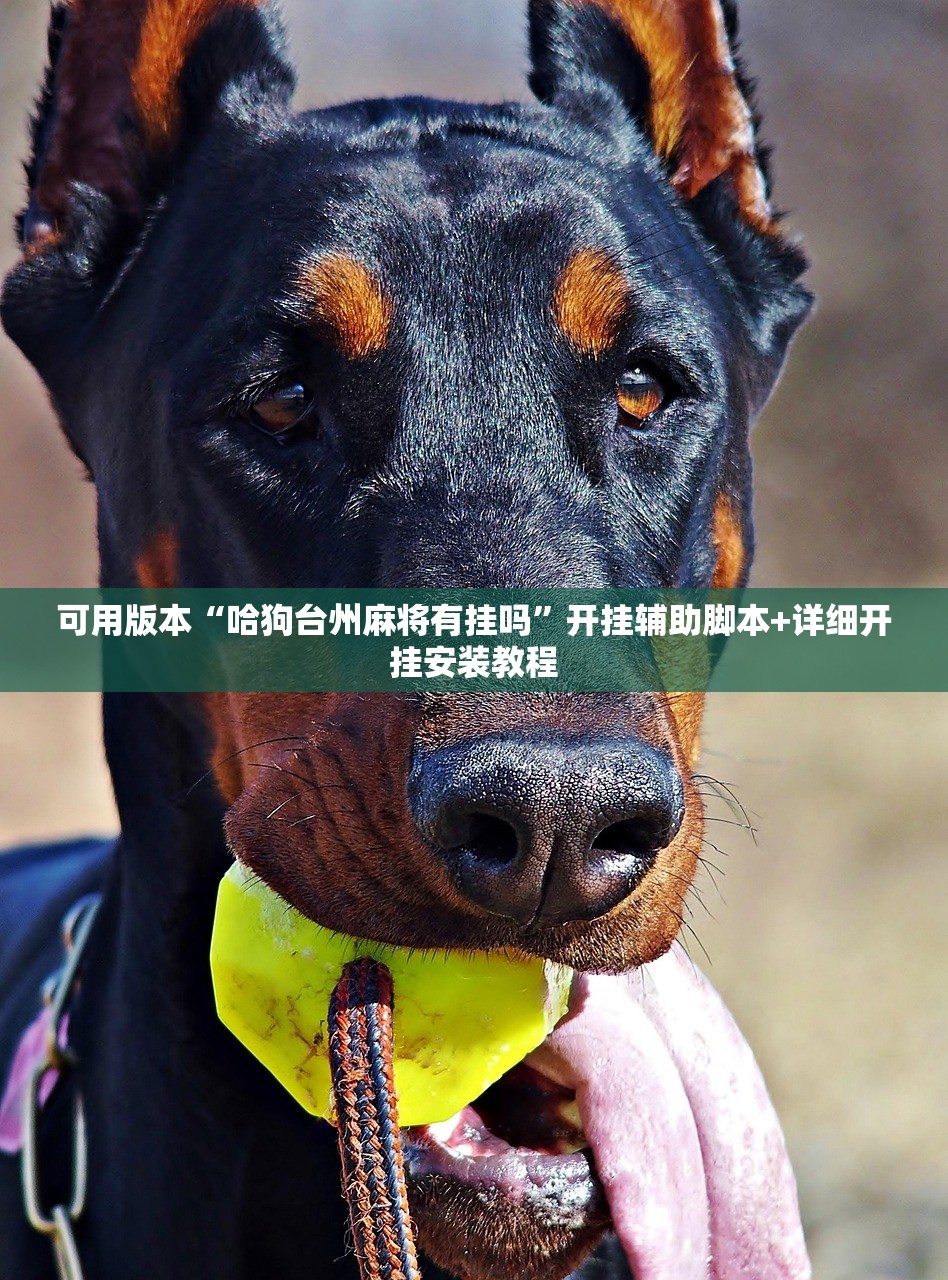可用版本“哈狗台州麻将有挂吗”开挂辅助脚本+详细开挂安装教程