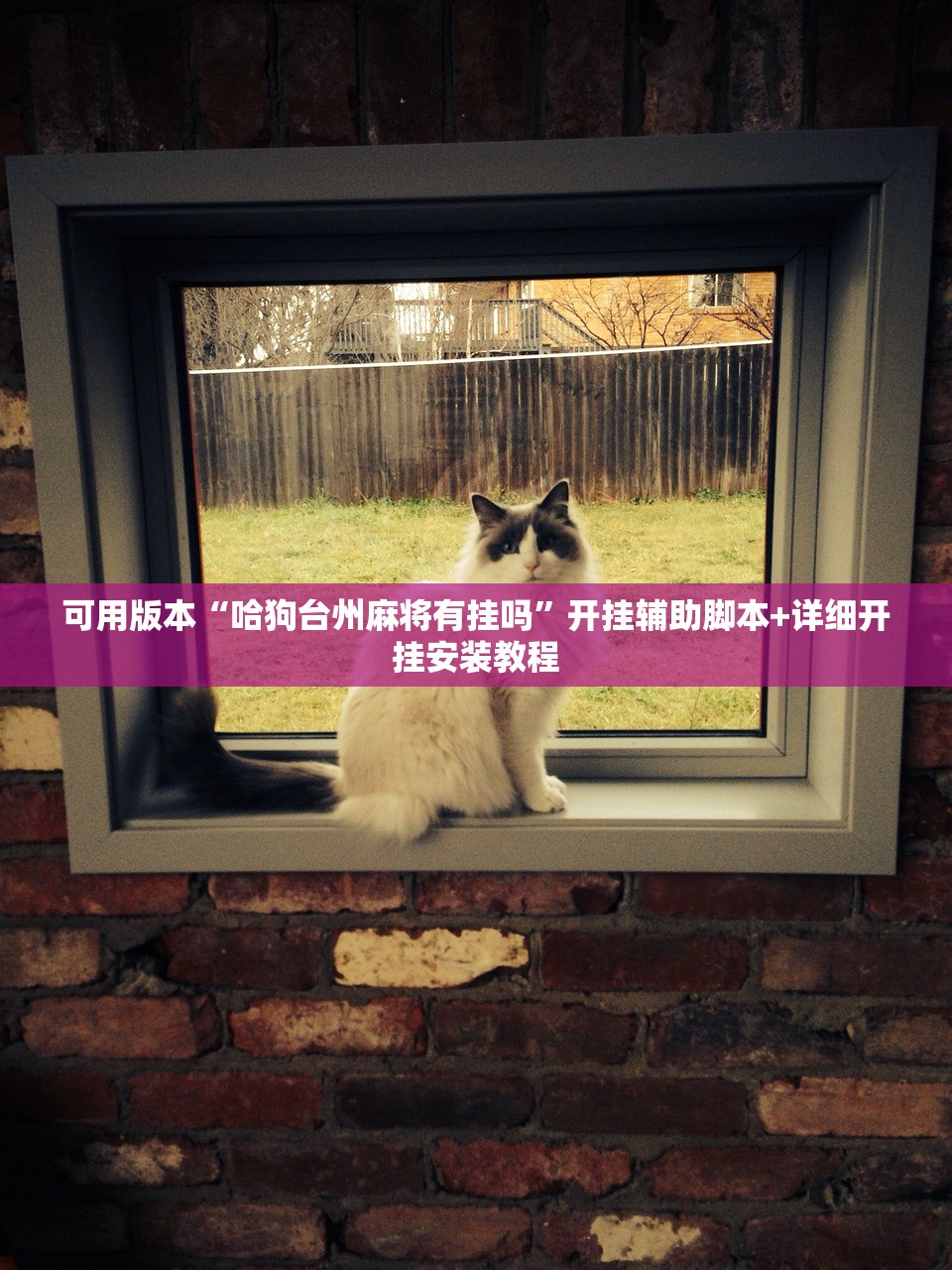 可用版本“哈狗台州麻将有挂吗	”开挂辅助脚本+详细开挂安装教程
