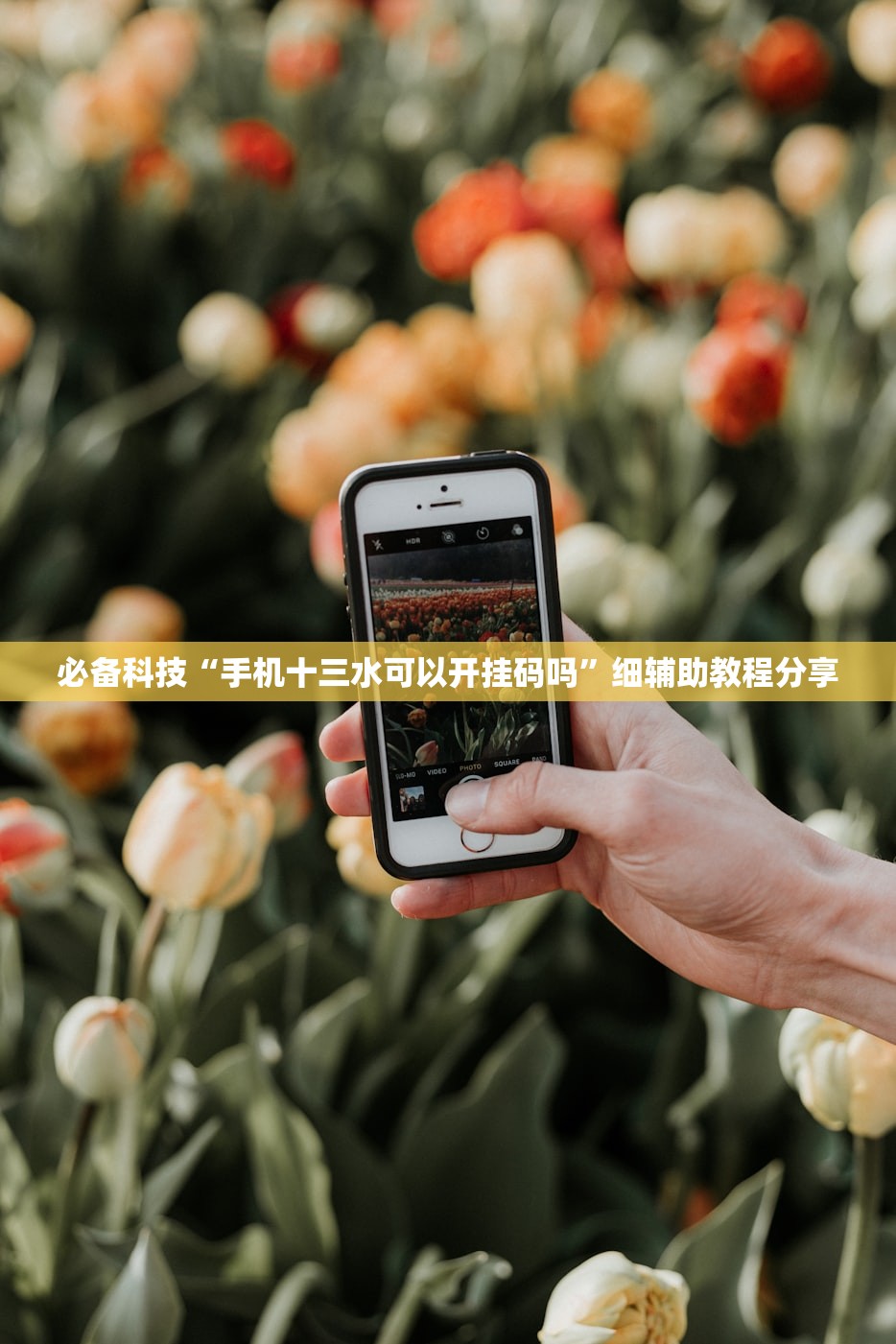 必备科技“手机十三水可以开挂码吗”细辅助教程分享