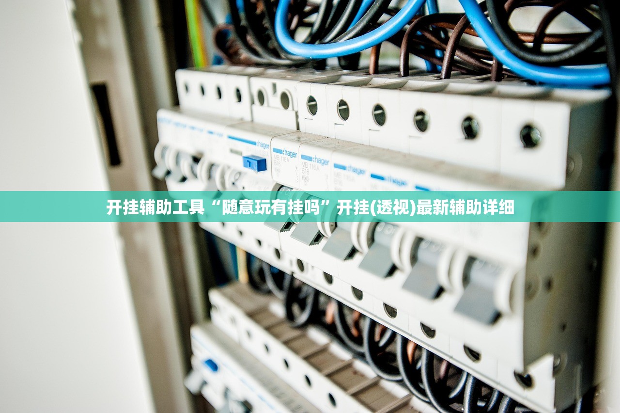 开挂辅助工具“随意玩有挂吗”开挂(透视)最新辅助详细