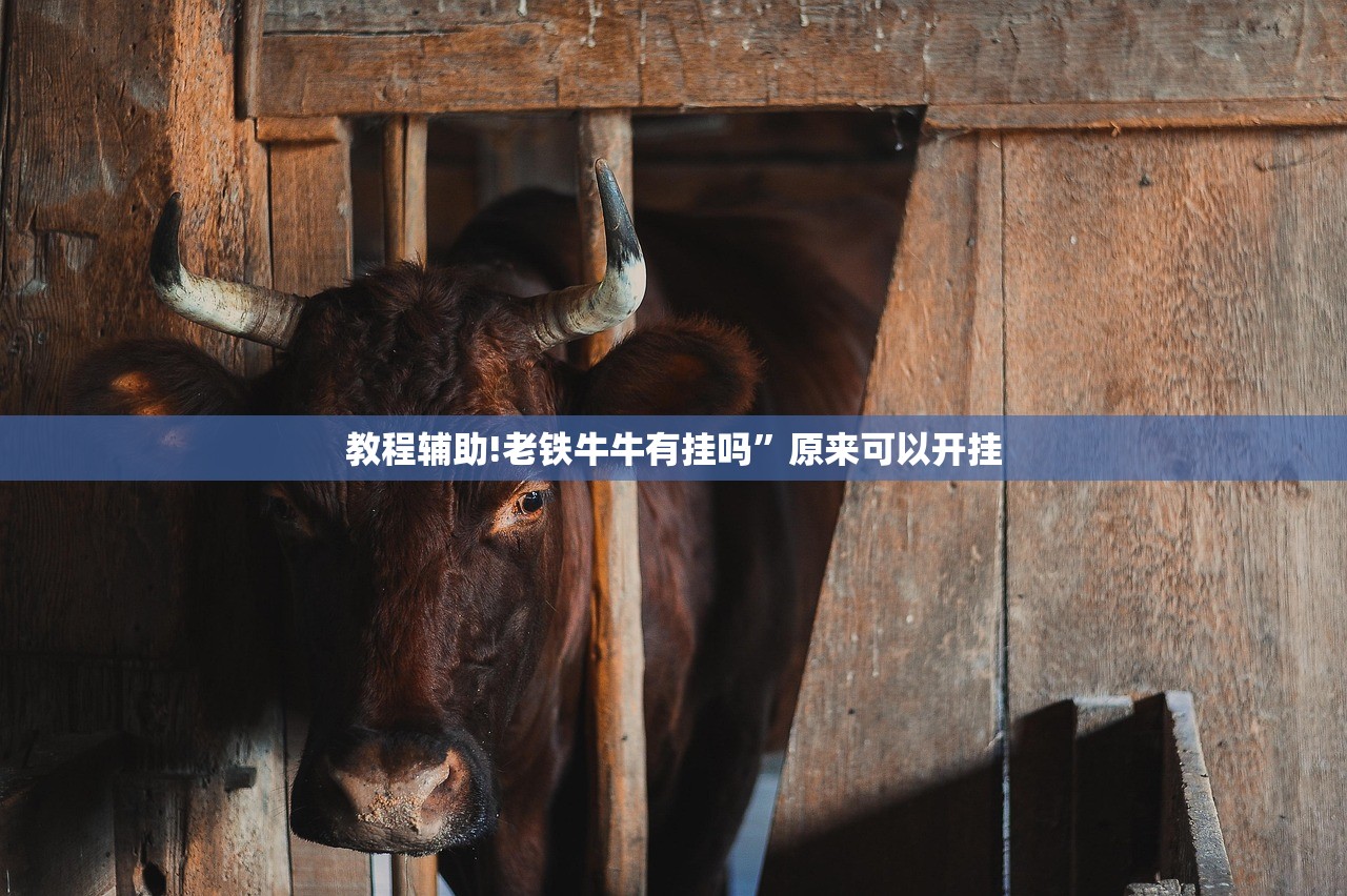 教程辅助!老铁牛牛有挂吗”原来可以开挂