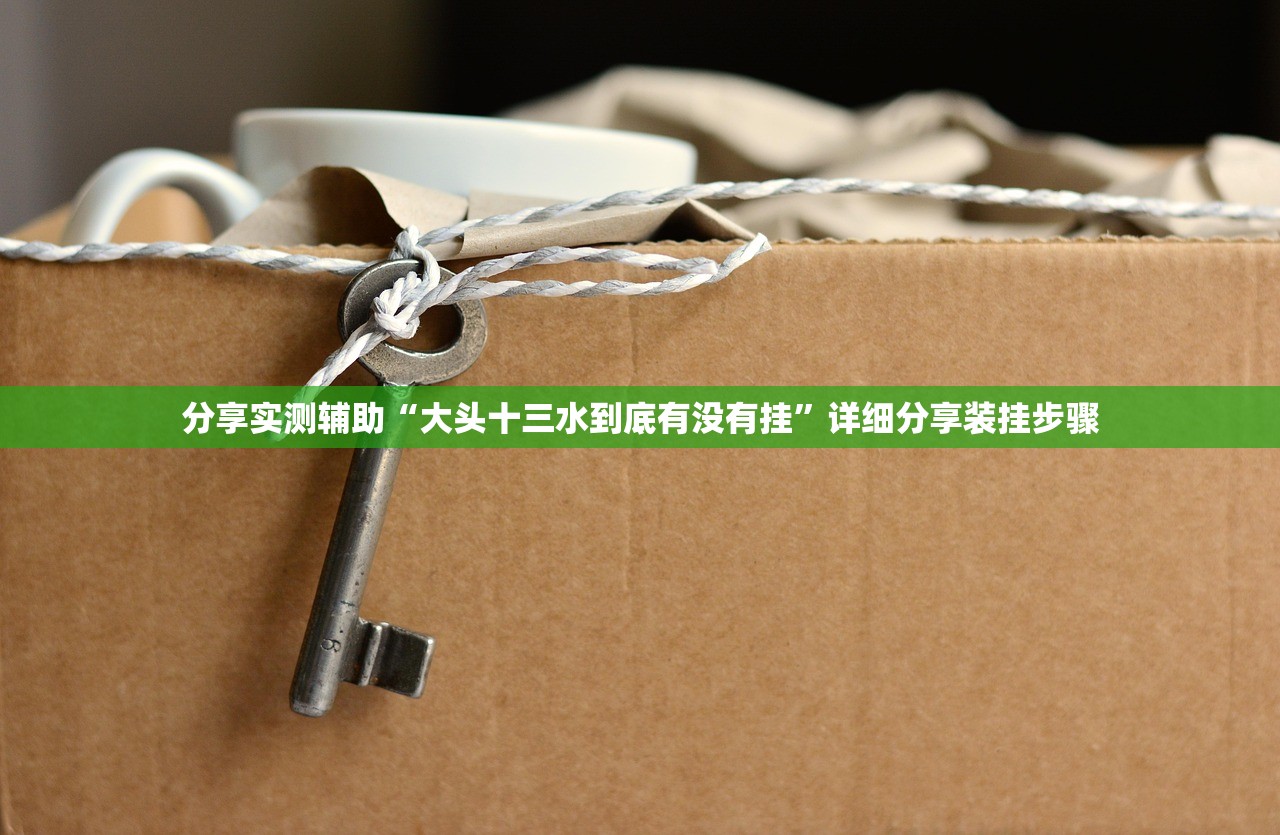 分享实测辅助“大头十三水到底有没有挂”详细分享装挂步骤