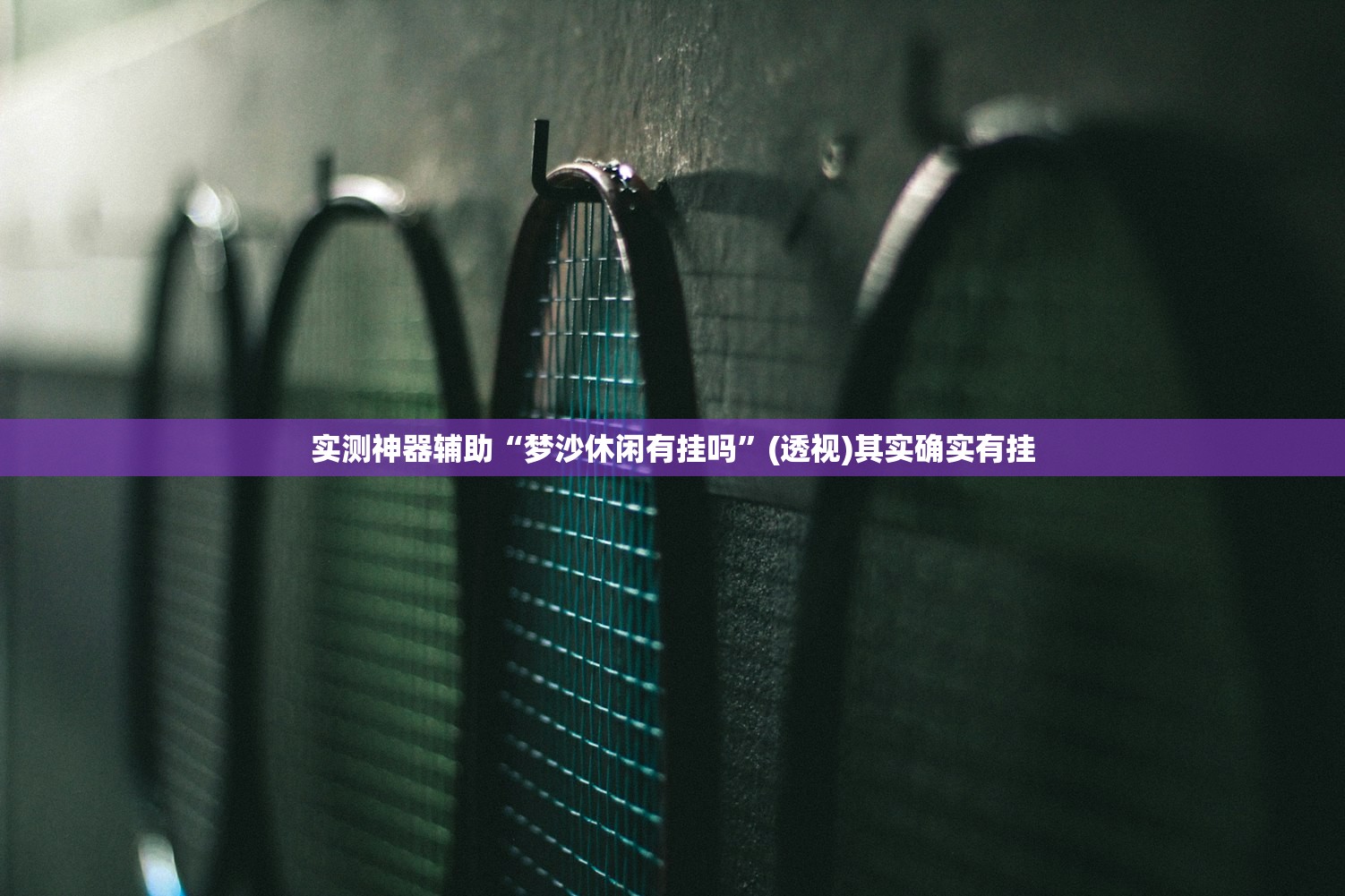 实测神器辅助“梦沙休闲有挂吗”(透视)其实确实有挂