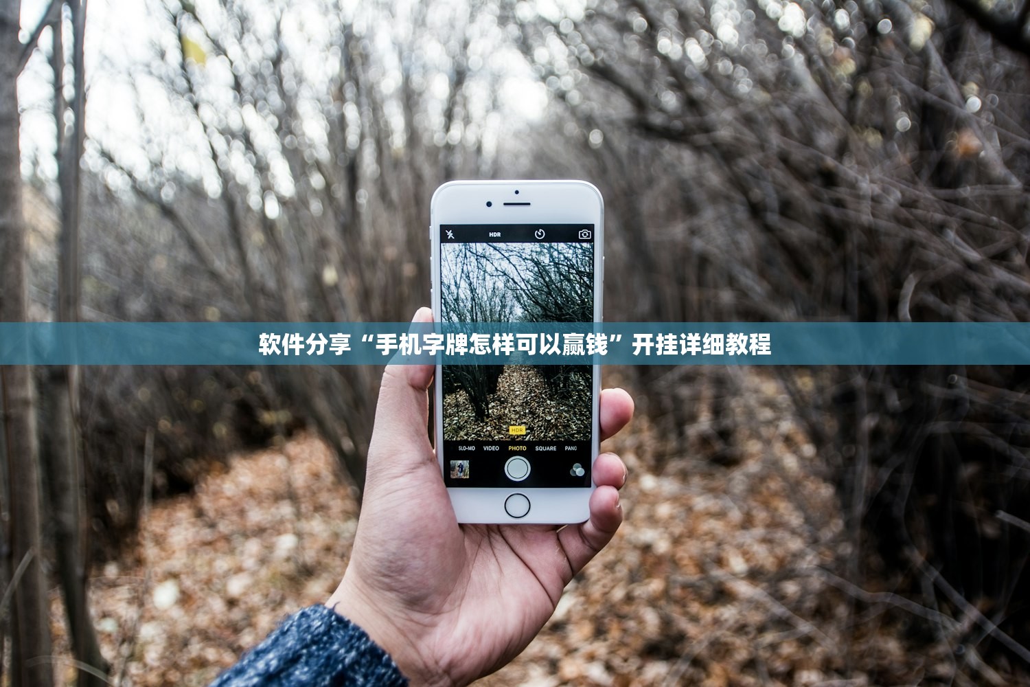 软件分享“手机字牌怎样可以赢钱”开挂详细教程