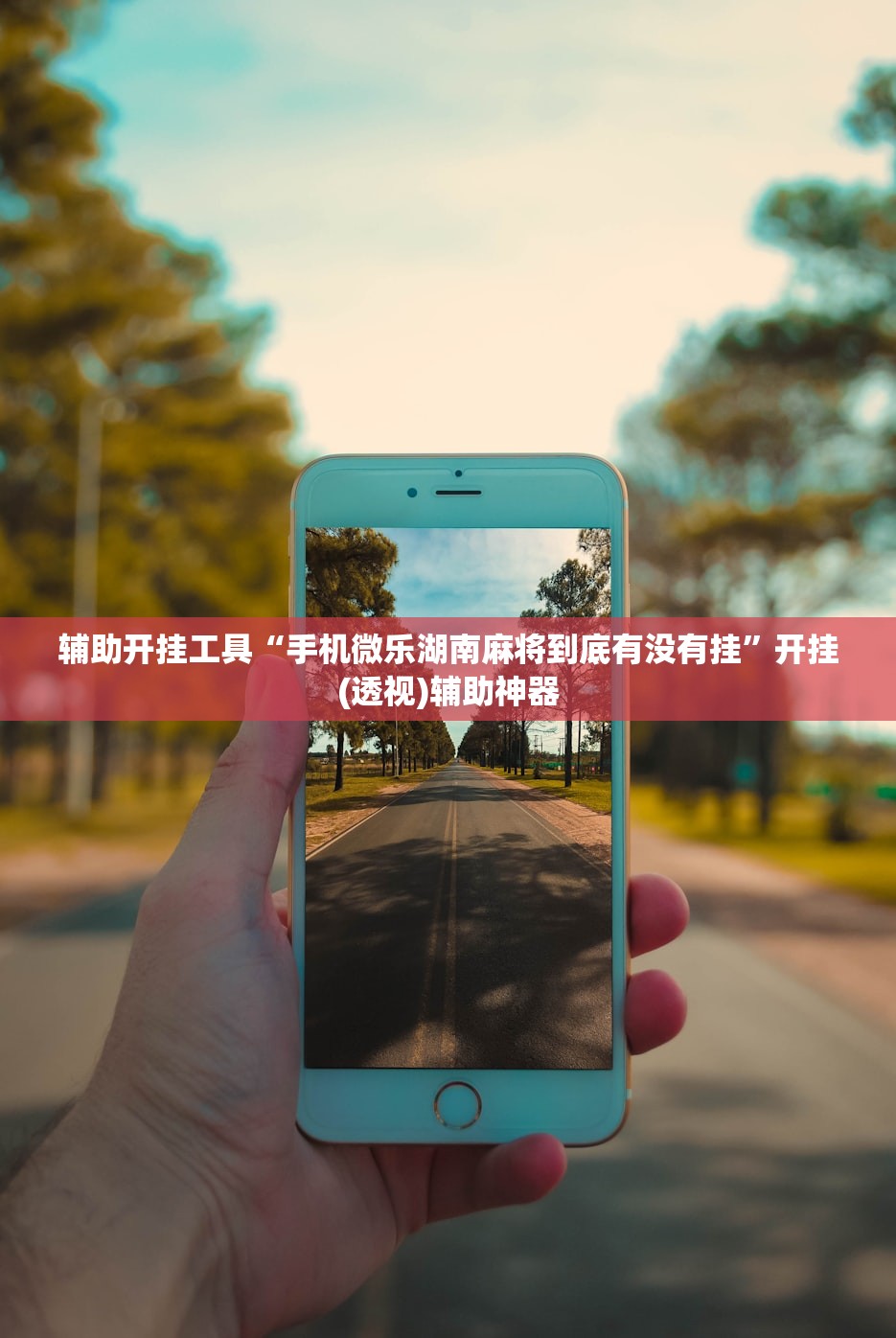 辅助开挂工具“手机微乐湖南麻将到底有没有挂”开挂(透视)辅助神器