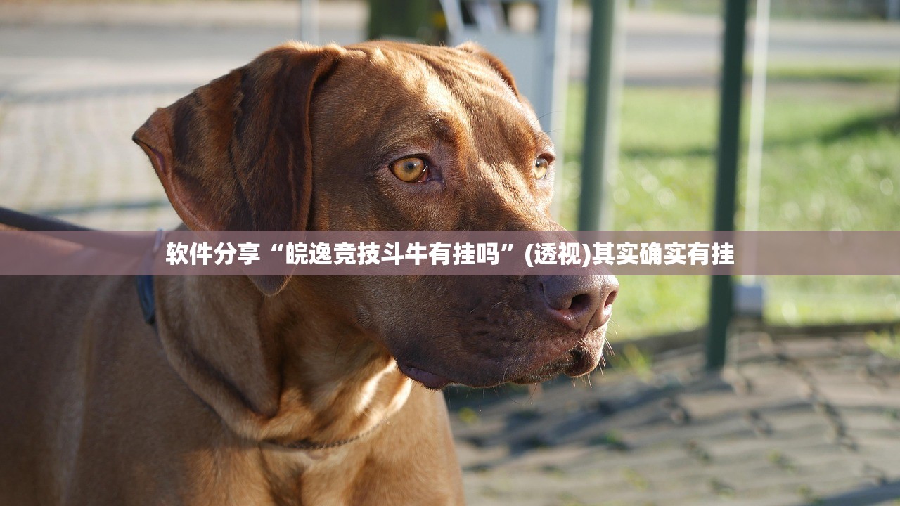 上海新增10例境外输入病例（上海新增境外输入病例详情）