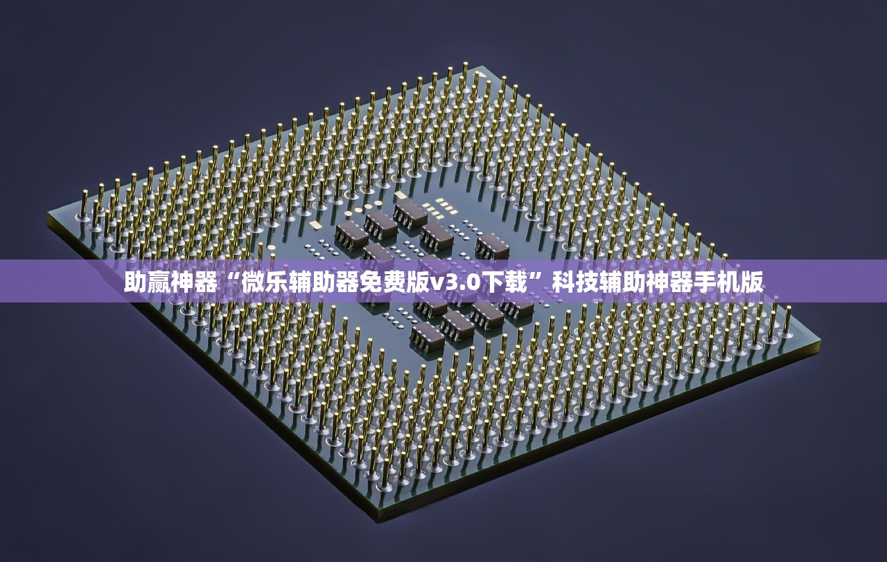 助赢神器“微乐辅助器免费版v3.0下载”科技辅助神器手机版