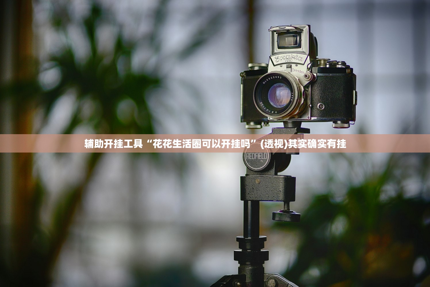 辅助开挂工具“花花生活圈可以开挂吗”(透视)其实确实有挂
