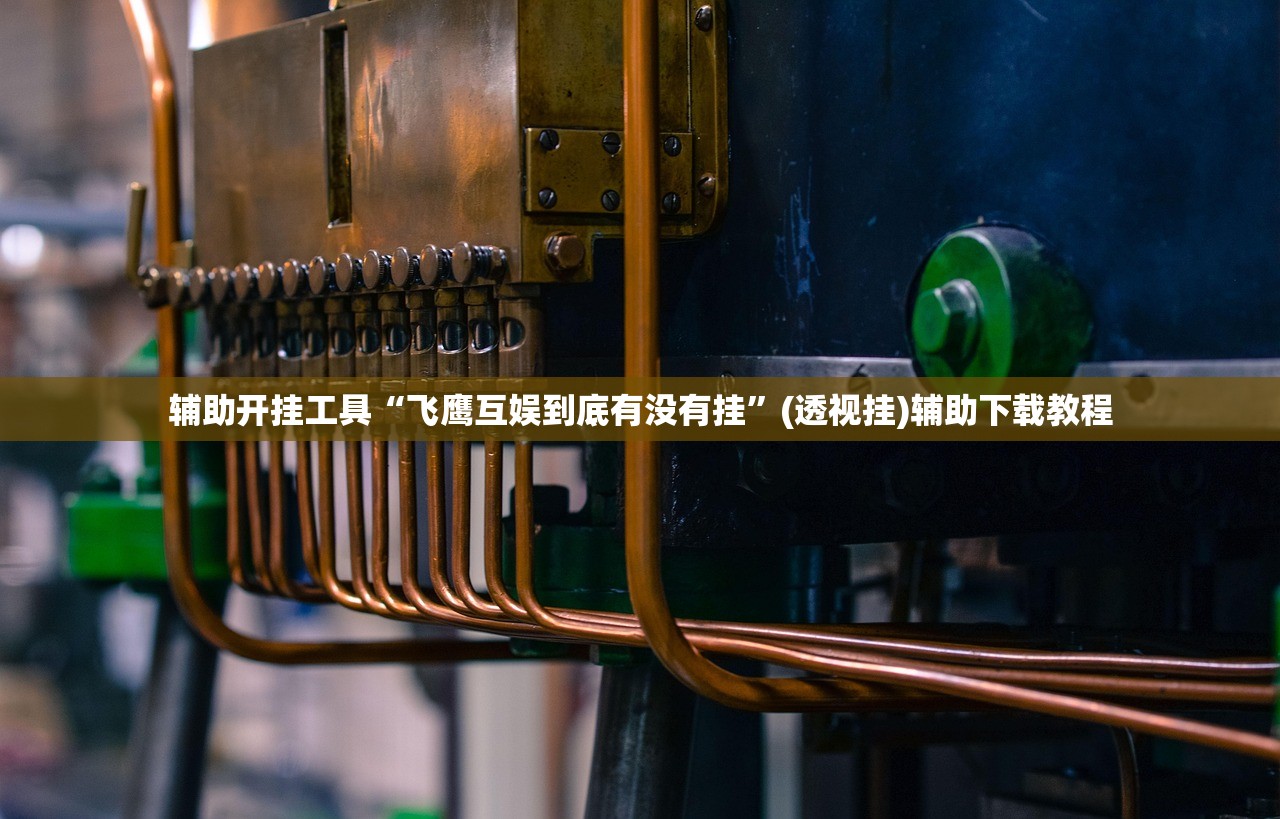 辅助开挂工具“飞鹰互娱到底有没有挂	”(透视挂)辅助下载教程