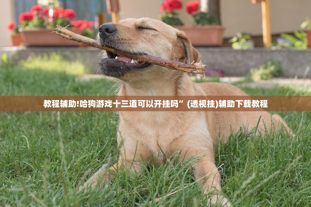 教程辅助!哈狗游戏十三道可以开挂吗”(透视挂)辅助下载教程