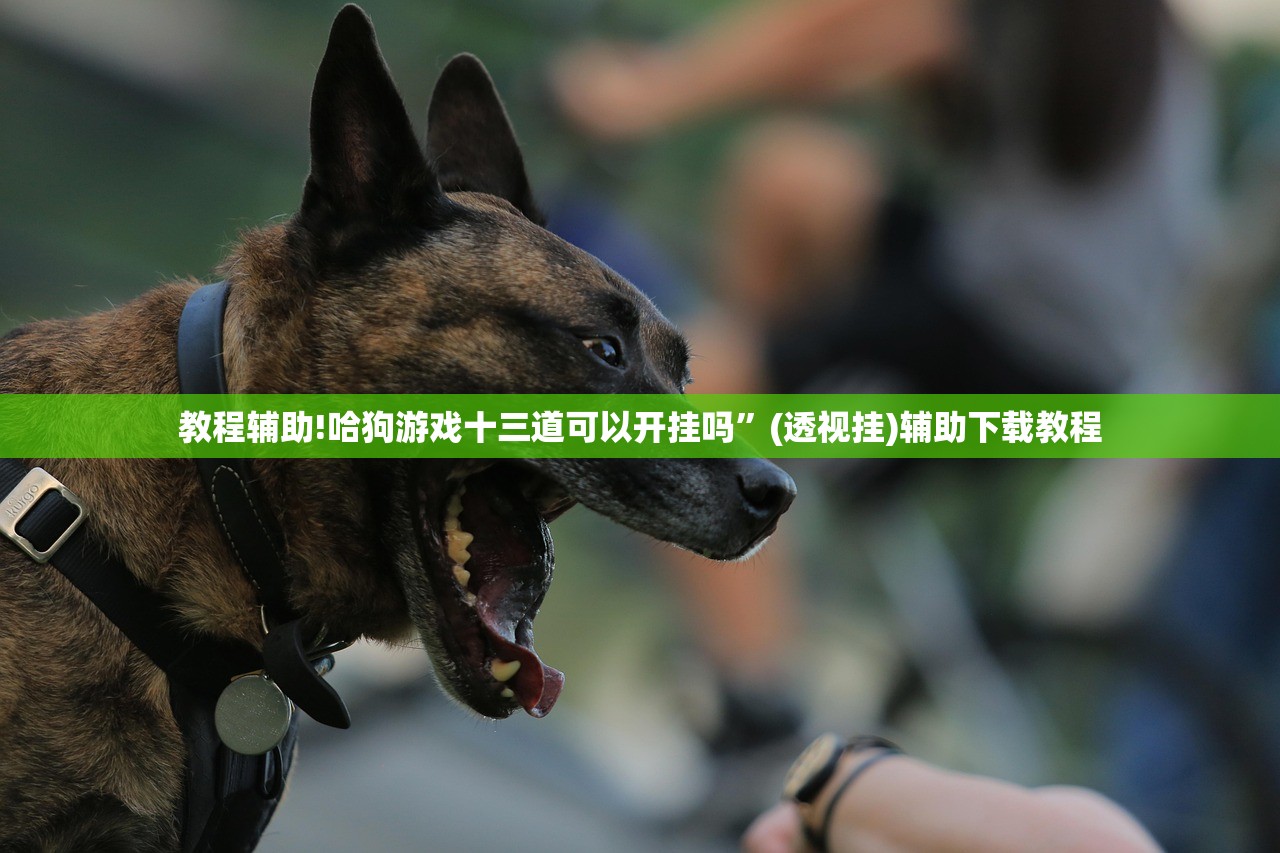 教程辅助!哈狗游戏十三道可以开挂吗	”(透视挂)辅助下载教程