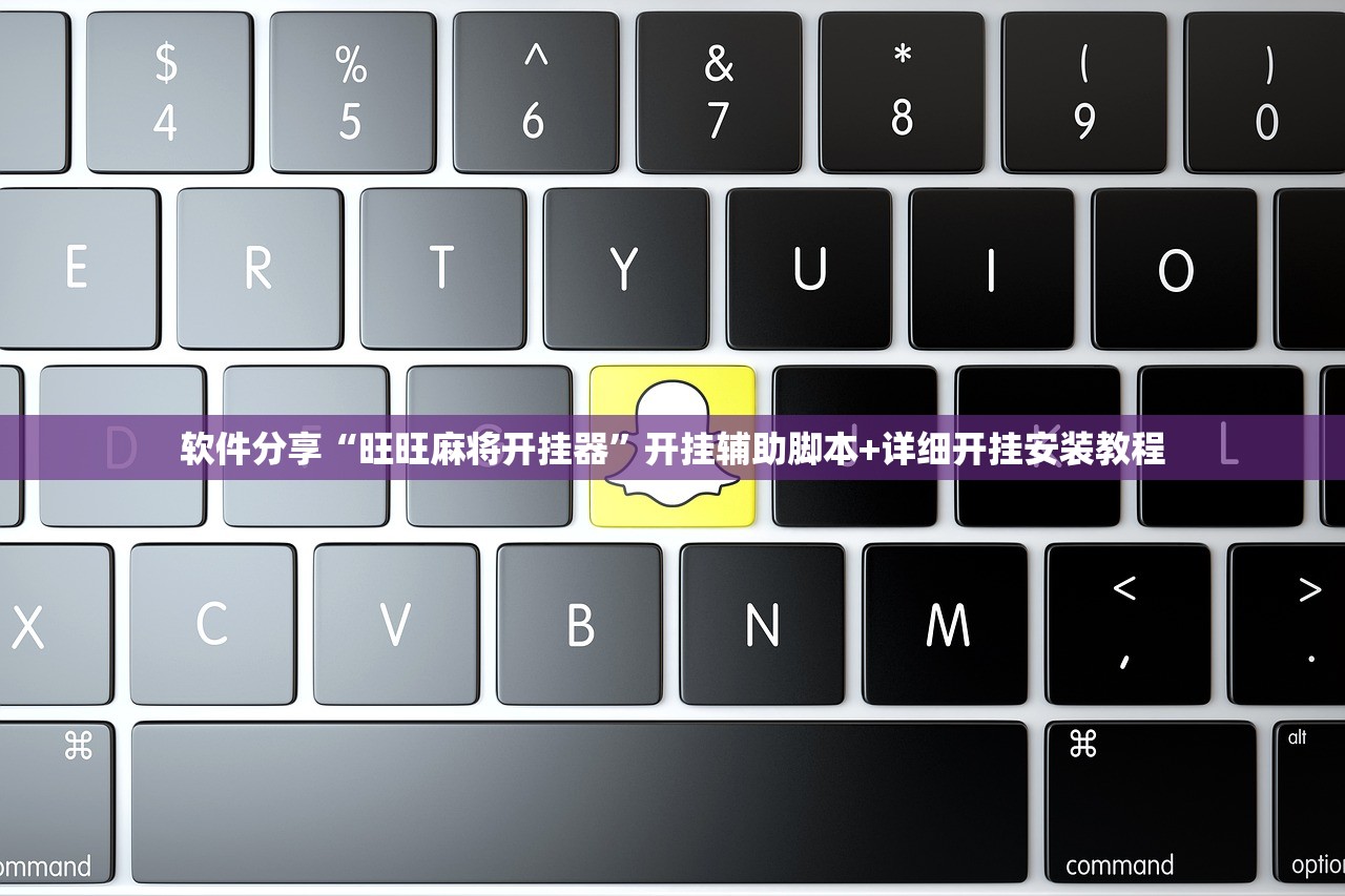 软件分享“旺旺麻将开挂器”开挂辅助脚本+详细开挂安装教程