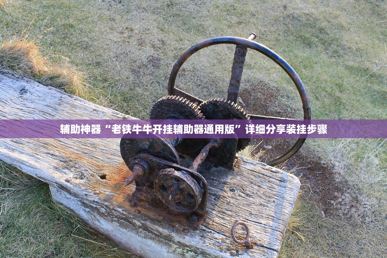 辅助神器“老铁牛牛开挂辅助器通用版”详细分享装挂步骤