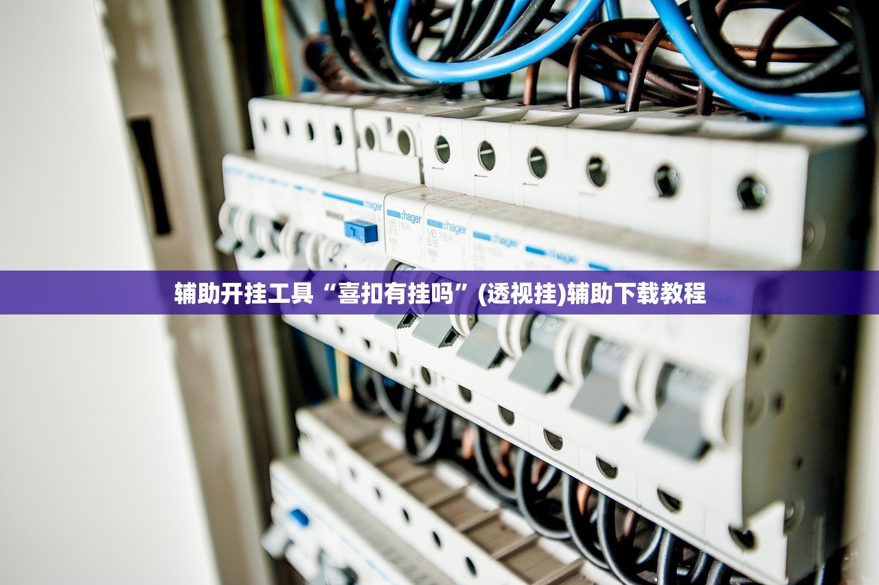 辅助开挂工具“喜扣有挂吗”(透视挂)辅助下载教程