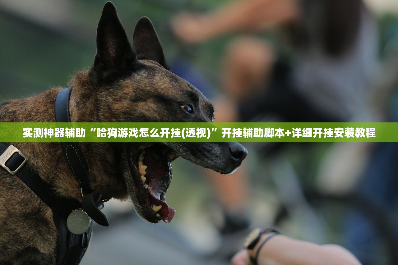 今日教程“大头十三水怎么提高胜率”详细分享装挂步骤