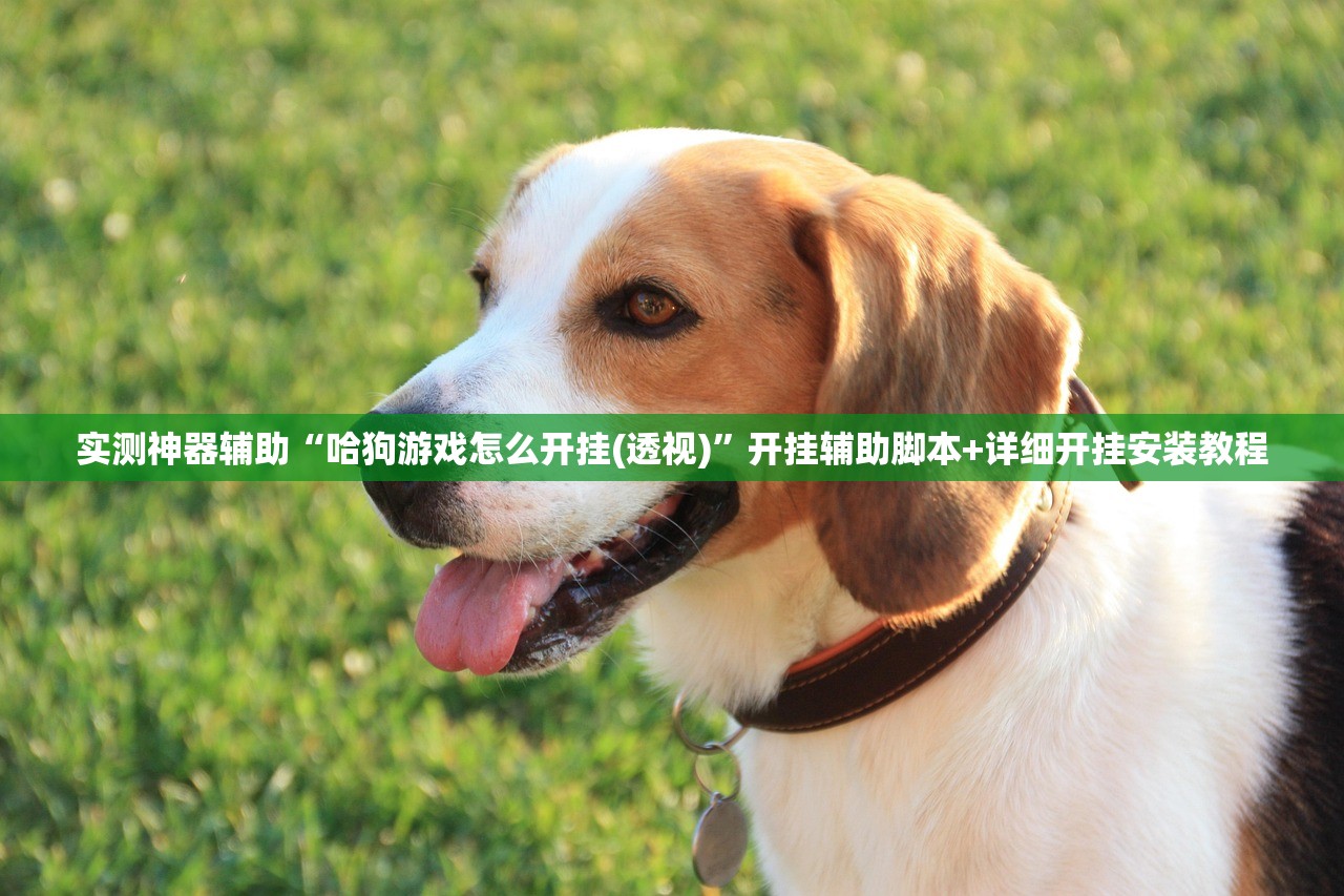 实测神器辅助“哈狗游戏怎么开挂(透视)”开挂辅助脚本+详细开挂安装教程