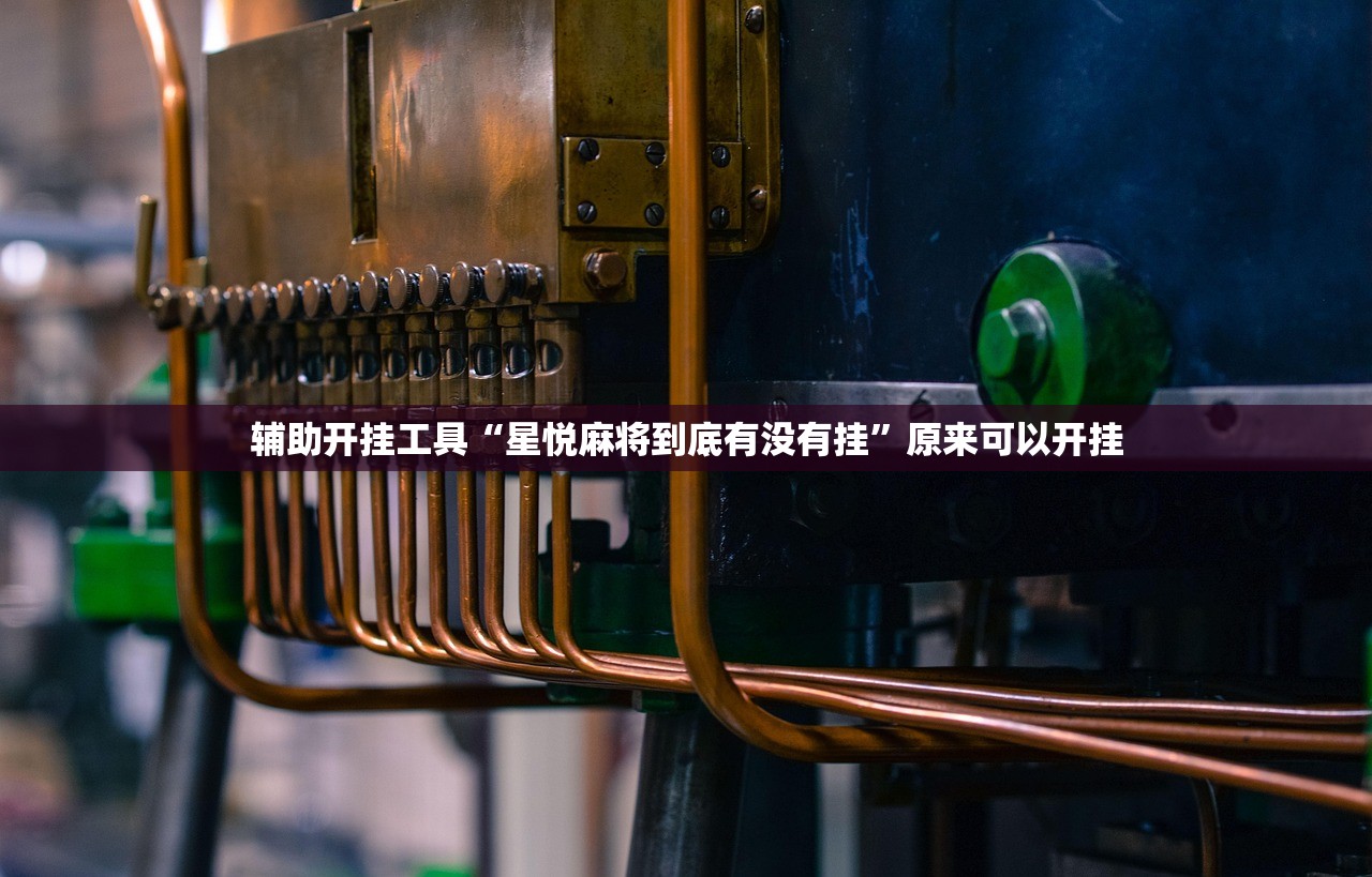 实测神器辅助“开心泉州麻将免费挂”原来可以开挂