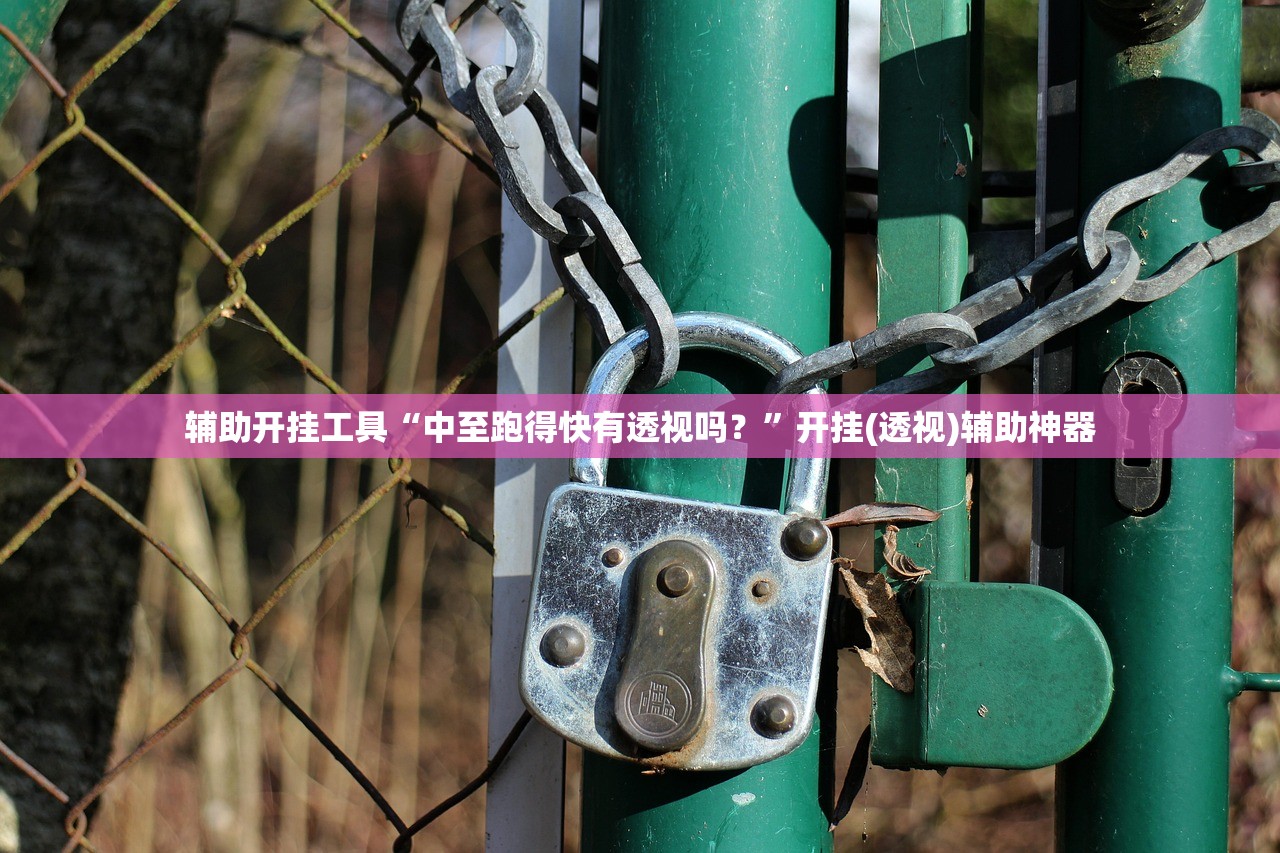 辅助开挂工具“wepoker的10个必赢技巧”(辅助神器)开挂详细教程