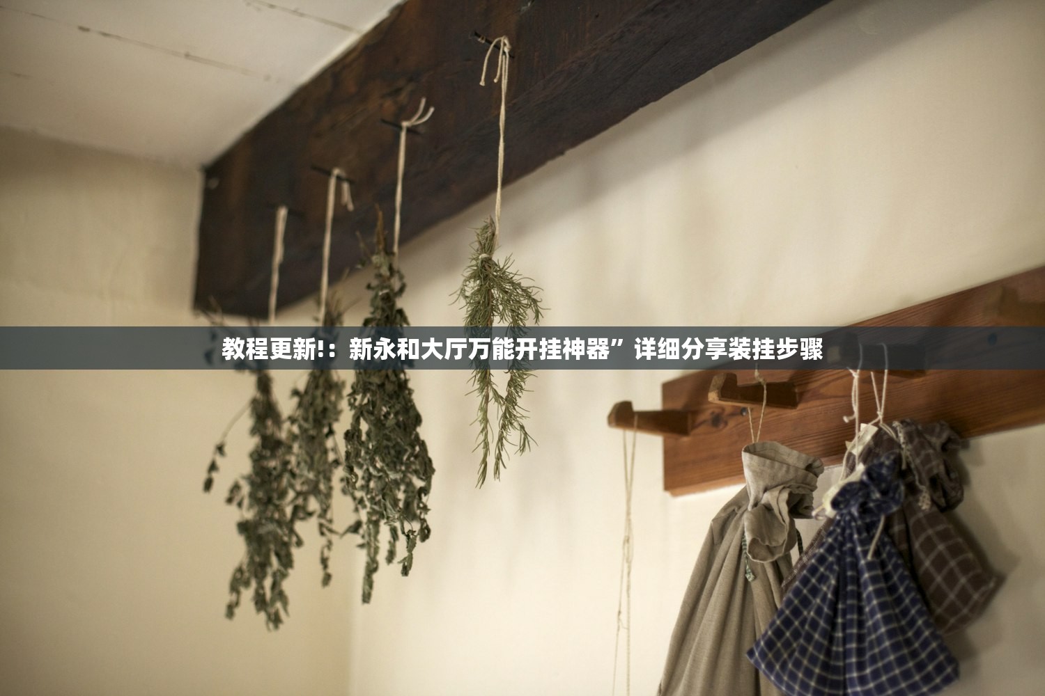 教程辅助!“安装跑得快万能开挂神器”开挂(透视)辅助神器