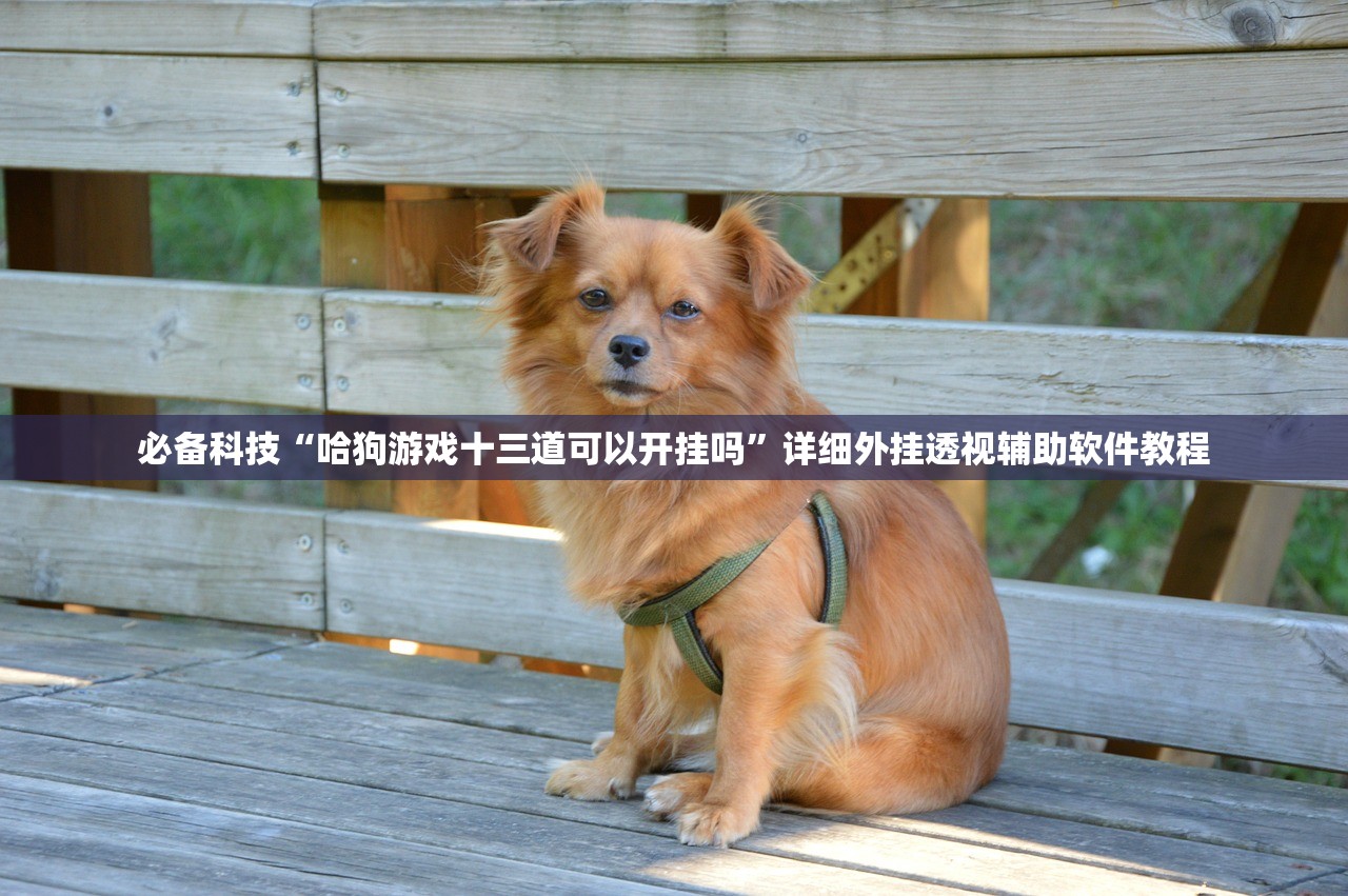 【近期疫情最新消息,近期疫情最新消息河北】