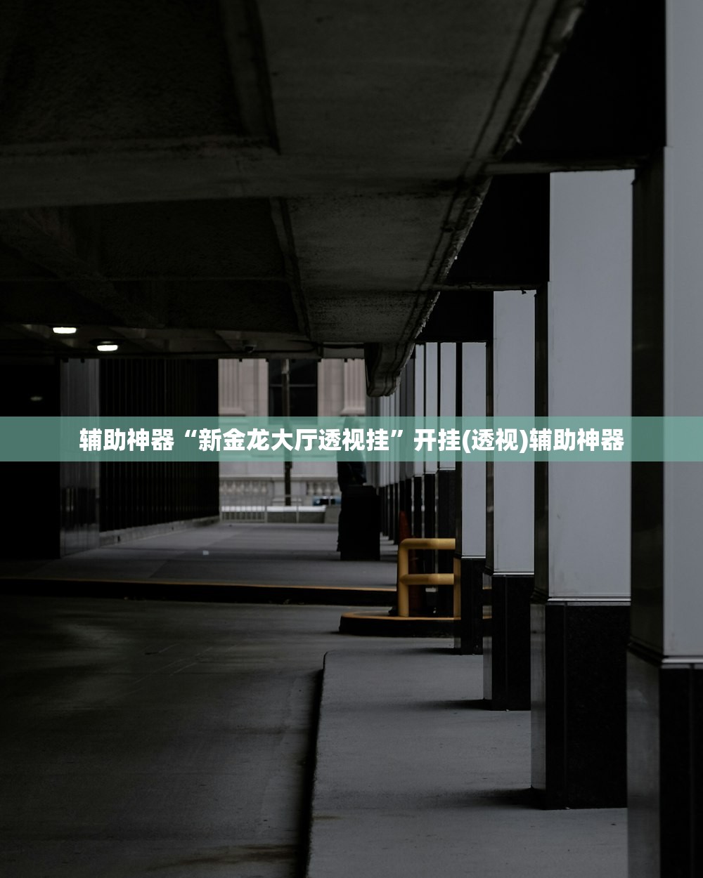 辅助神器“新金龙大厅透视挂	”开挂(透视)辅助神器