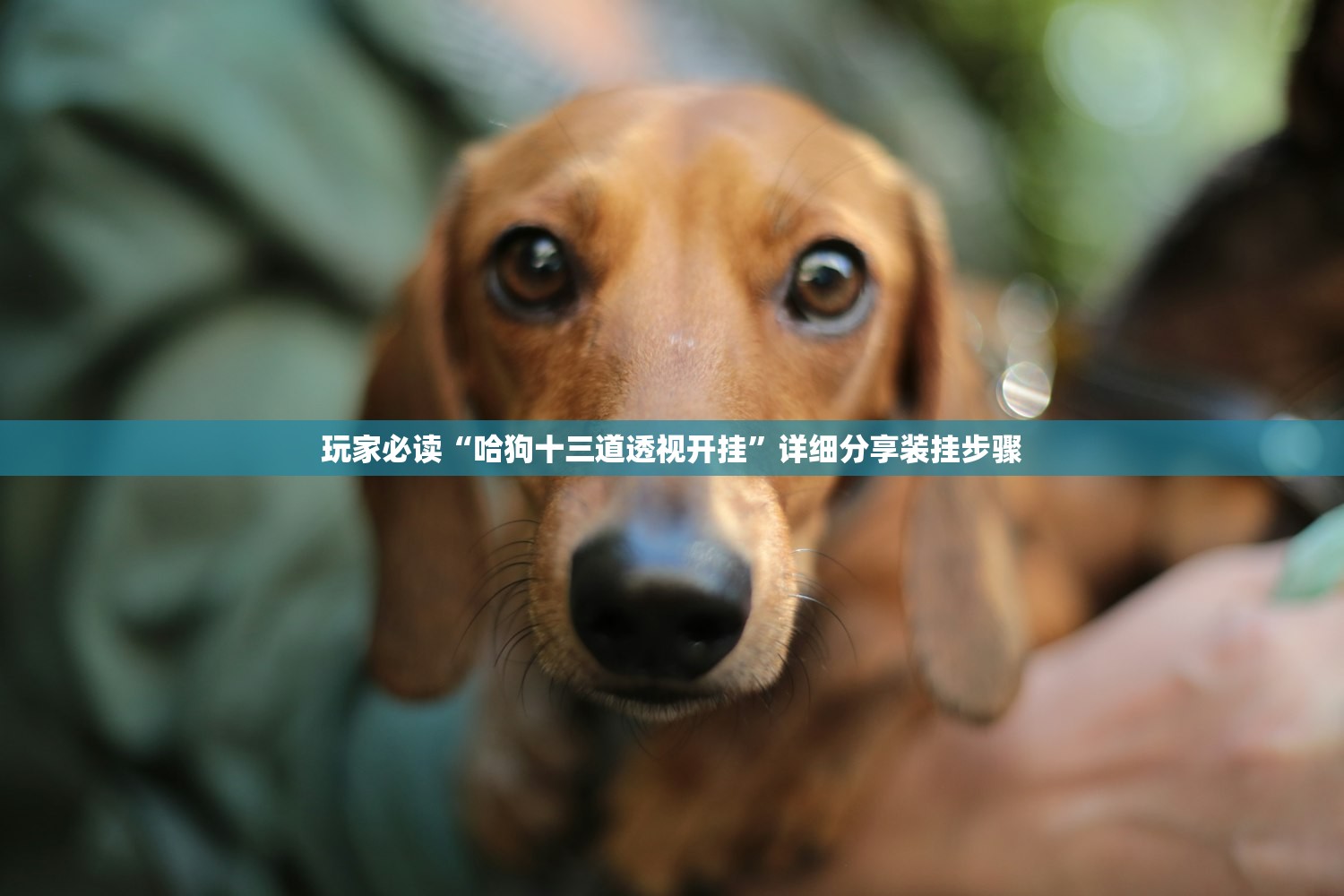 辅助神器“微乐甘肃麻将有挂吗”原来可以开挂