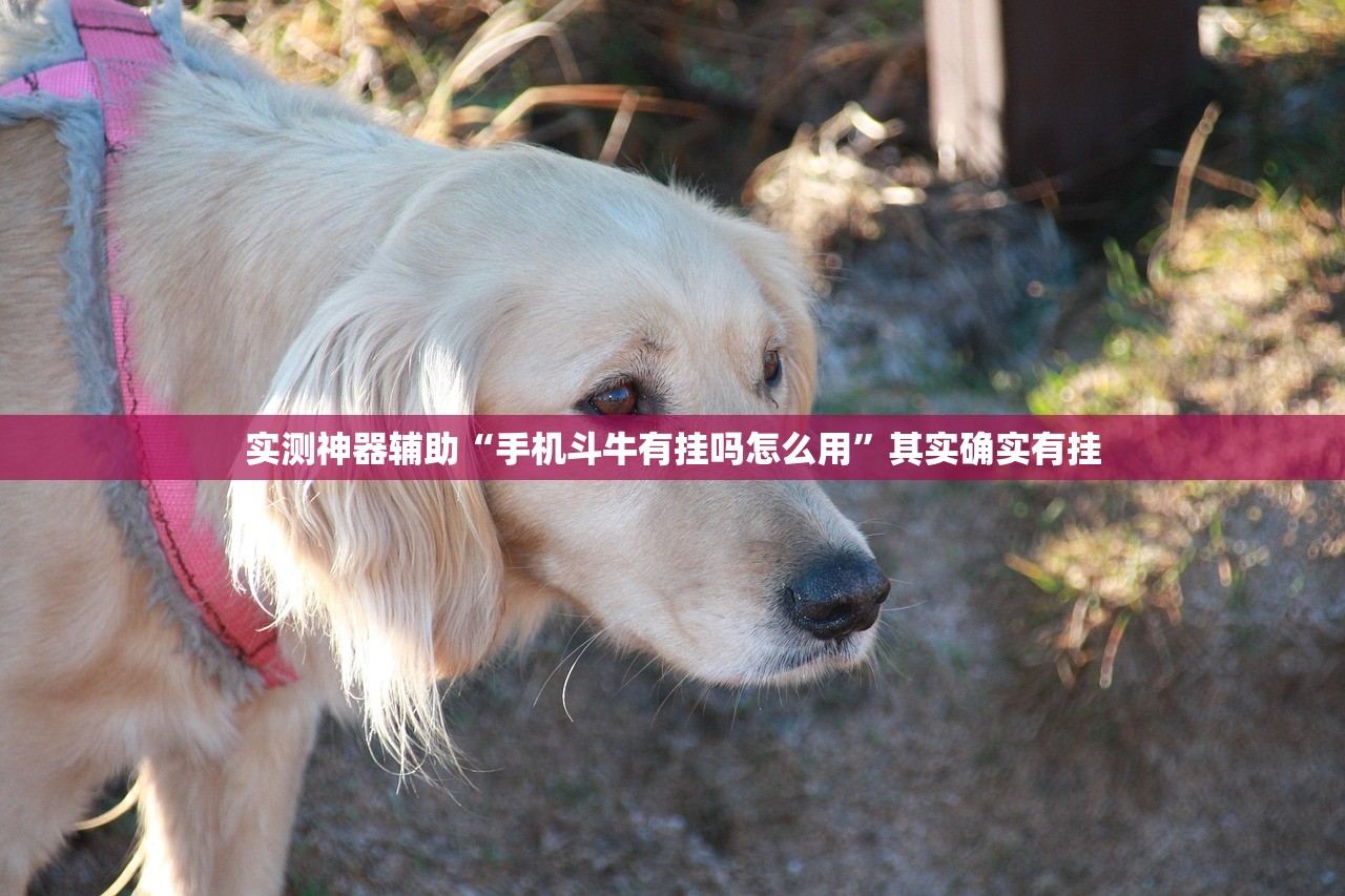 推荐一款“迅奇麻将斗牛挂安装”(透视挂)辅助下载教程
