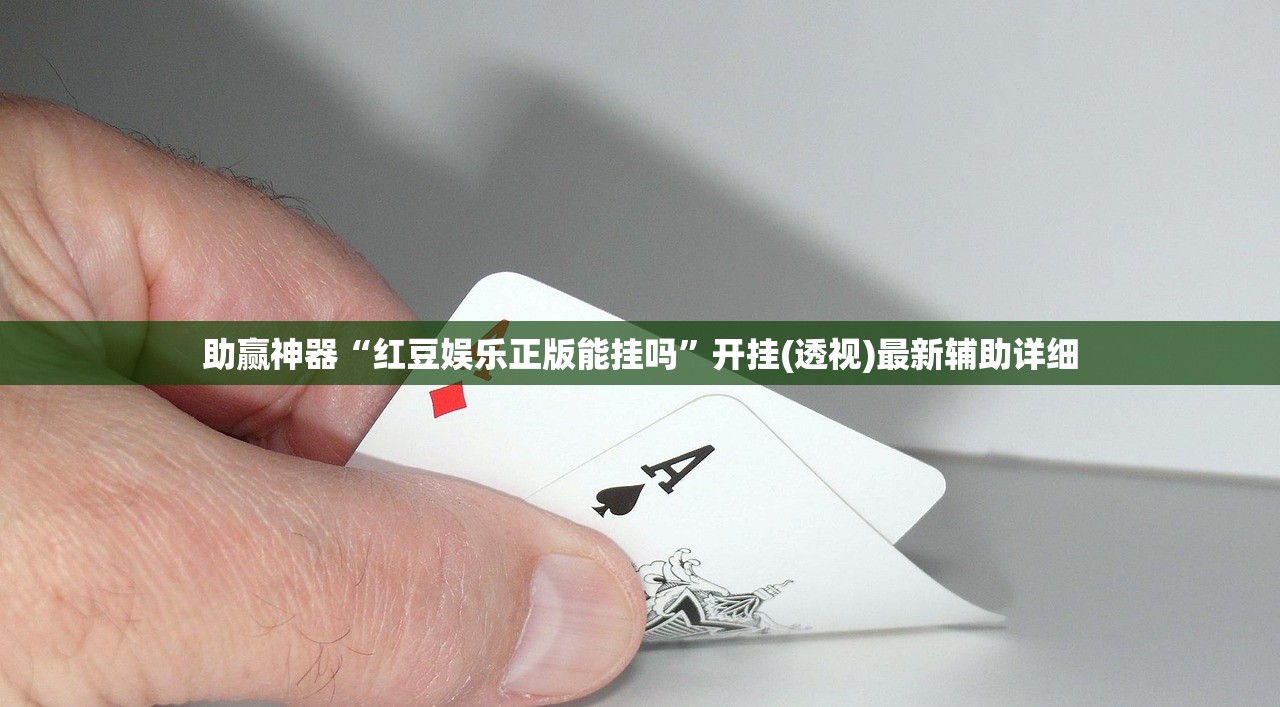 助赢神器“红豆娱乐正版能挂吗”开挂(透视)最新辅助详细