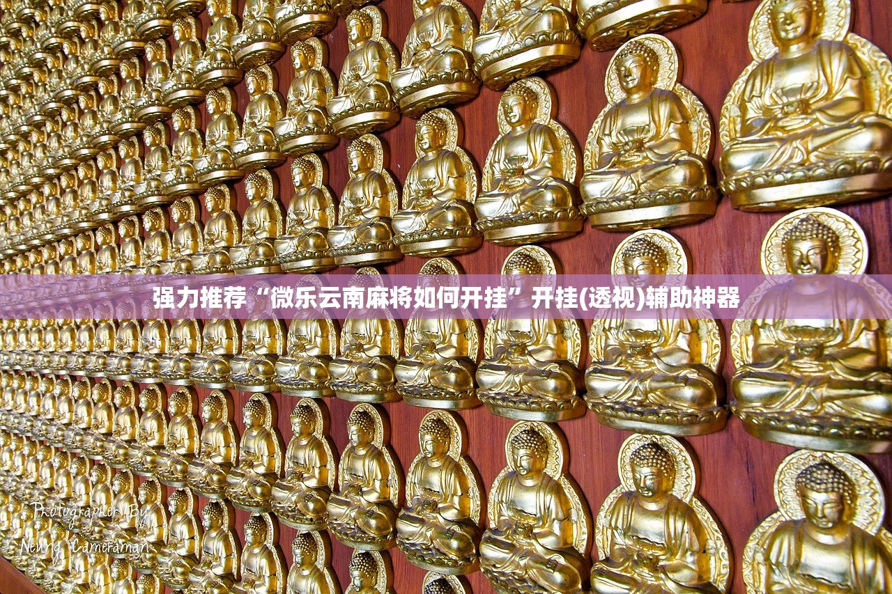 上海部分街道开展免费核酸检测（上海有免费做核酸检测的吗）