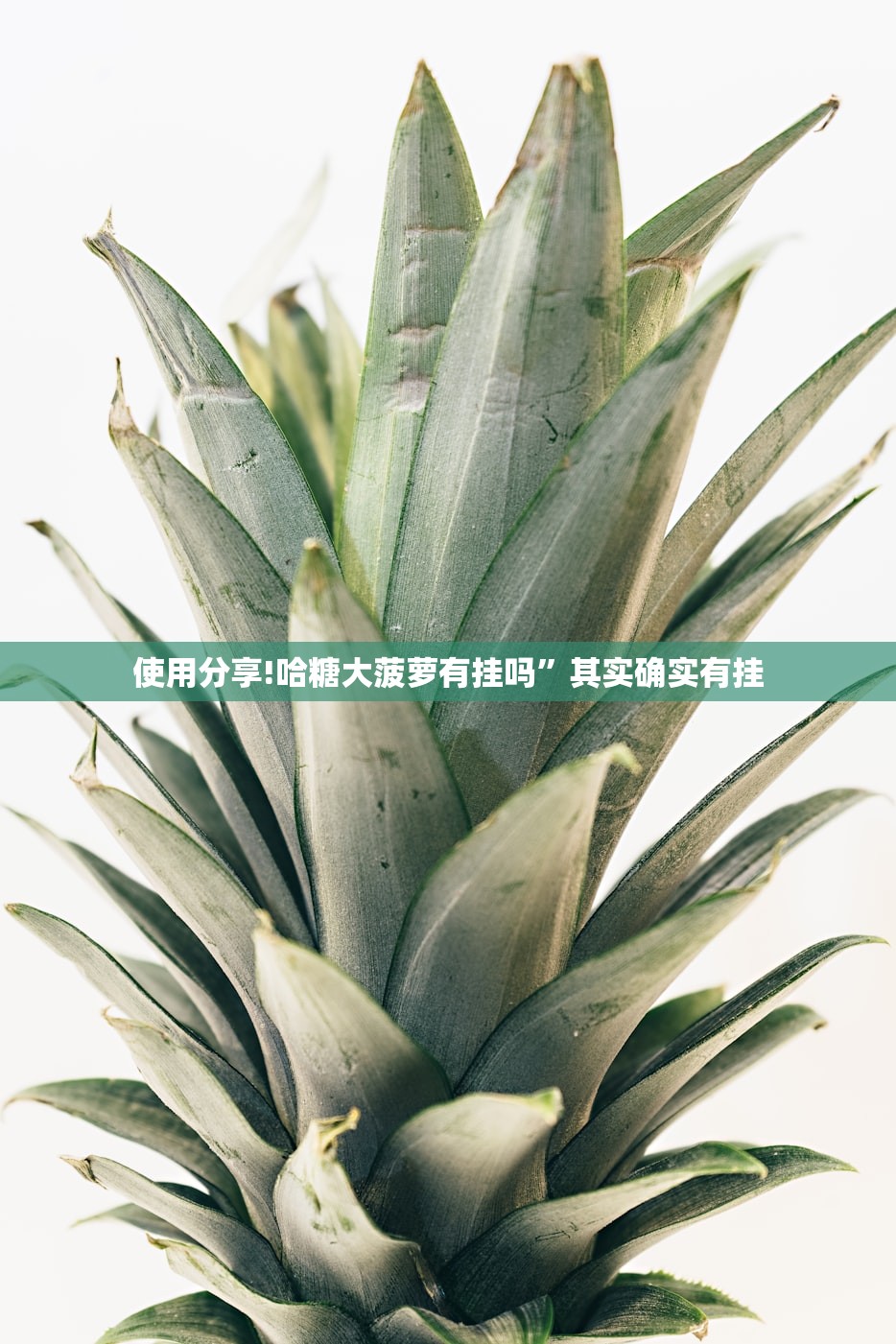 【沈阳一号病例去世,沈阳一号病例去逝】