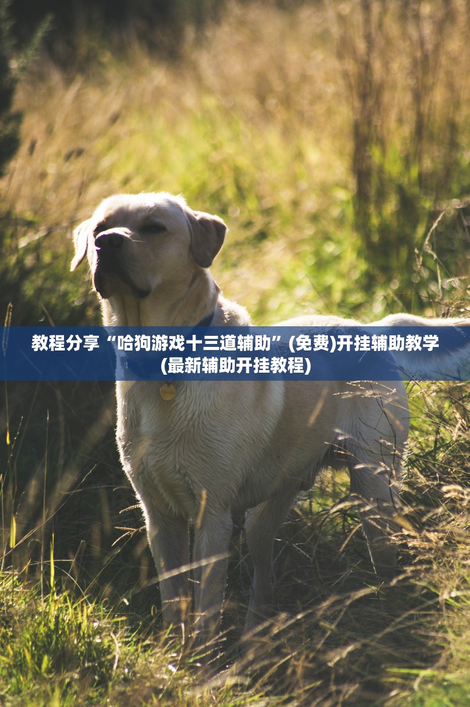 【31个省份新增17例,31个省新增21例】
