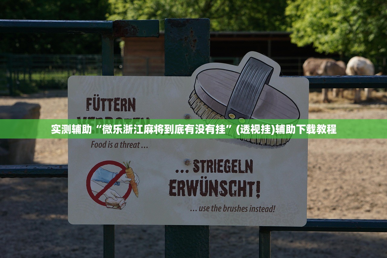 实测辅助“微乐浙江麻将到底有没有挂”(透视挂)辅助下载教程