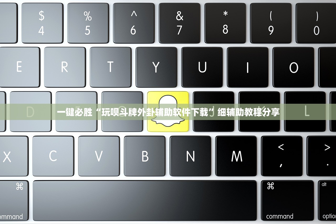 一键必胜“玩呗斗牌外卦辅助软件下载”细辅助教程分享