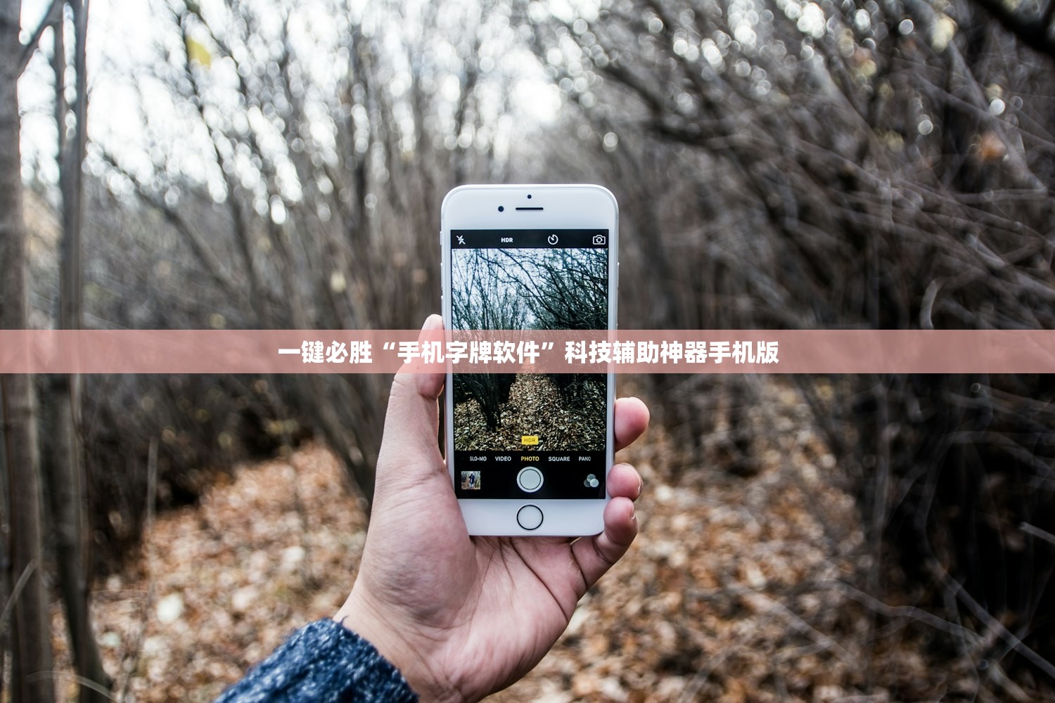 新疆确诊:新疆确诊艾滋病患者