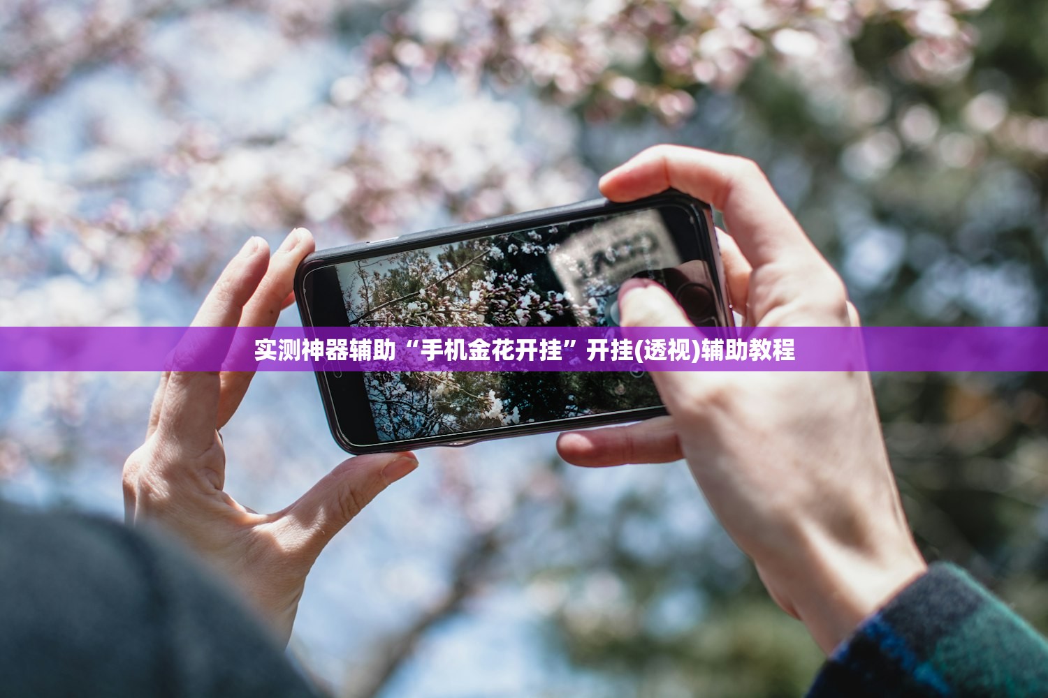 实测神器辅助“手机金花开挂	”开挂(透视)辅助教程