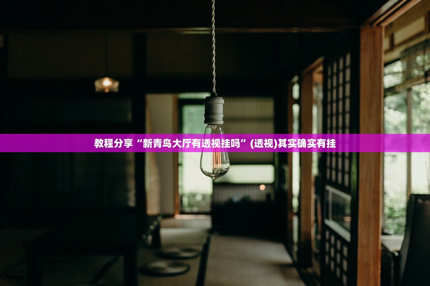 教程分享“新青鸟大厅有透视挂吗”(透视)其实确实有挂