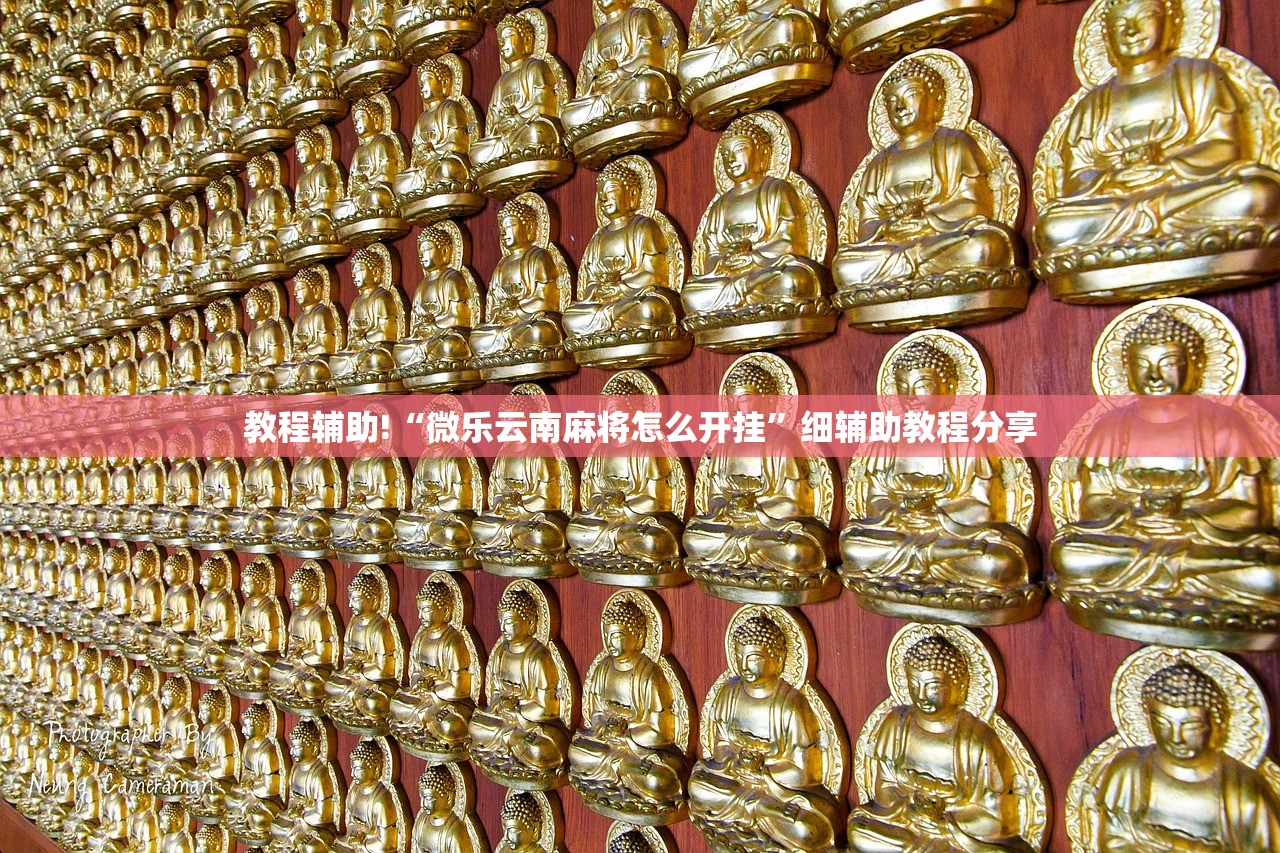 教程辅助!“微乐云南麻将怎么开挂”细辅助教程分享