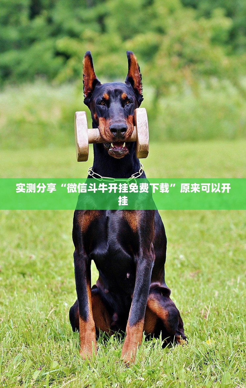 教程更新!：娱网皮球透视挂下载”(免费)开挂辅助教学(最新辅助开挂教程)