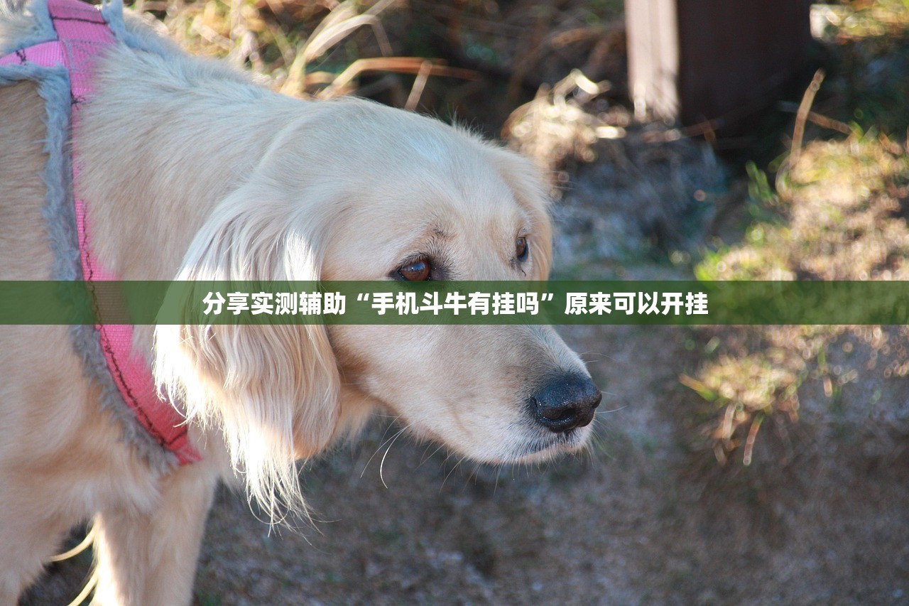 【福建新增本土确诊病例31例/福建新增本土病例28例】