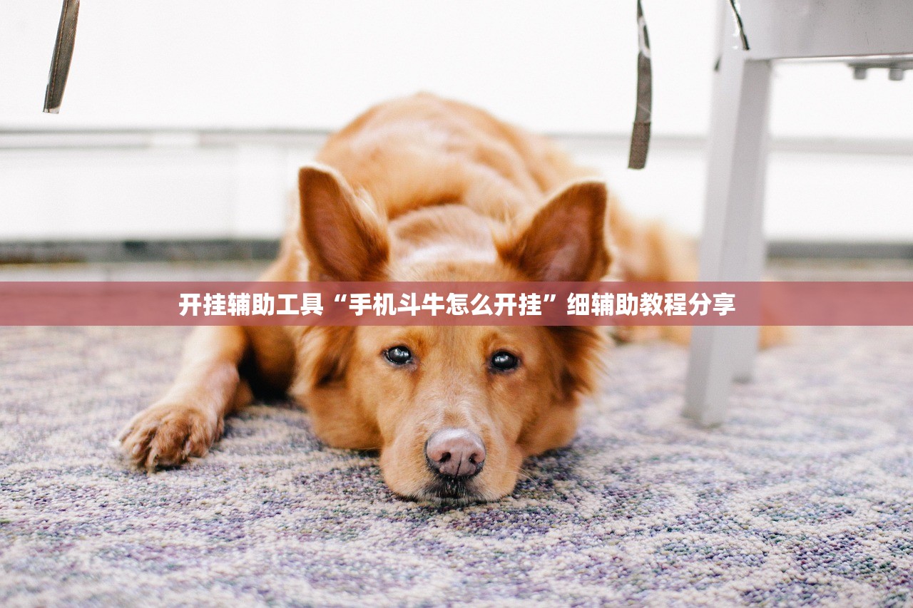 开挂辅助工具“手机斗牛怎么开挂”细辅助教程分享
