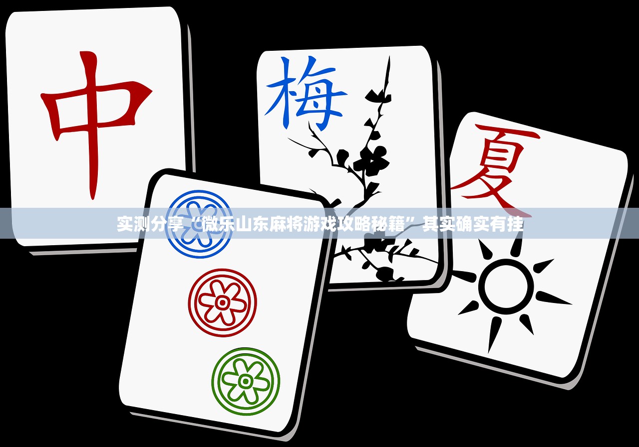 辅助神器“开心十三张可以开挂吗”原来可以开挂