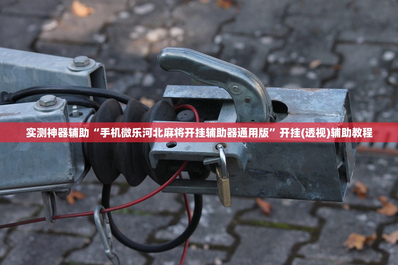 实测神器辅助“手机微乐河北麻将开挂辅助器通用版	”开挂(透视)辅助教程
