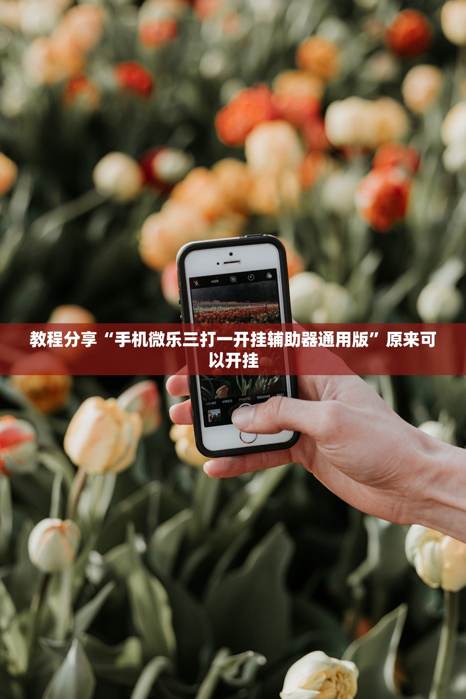 教程分享“手机微乐三打一开挂辅助器通用版”原来可以开挂