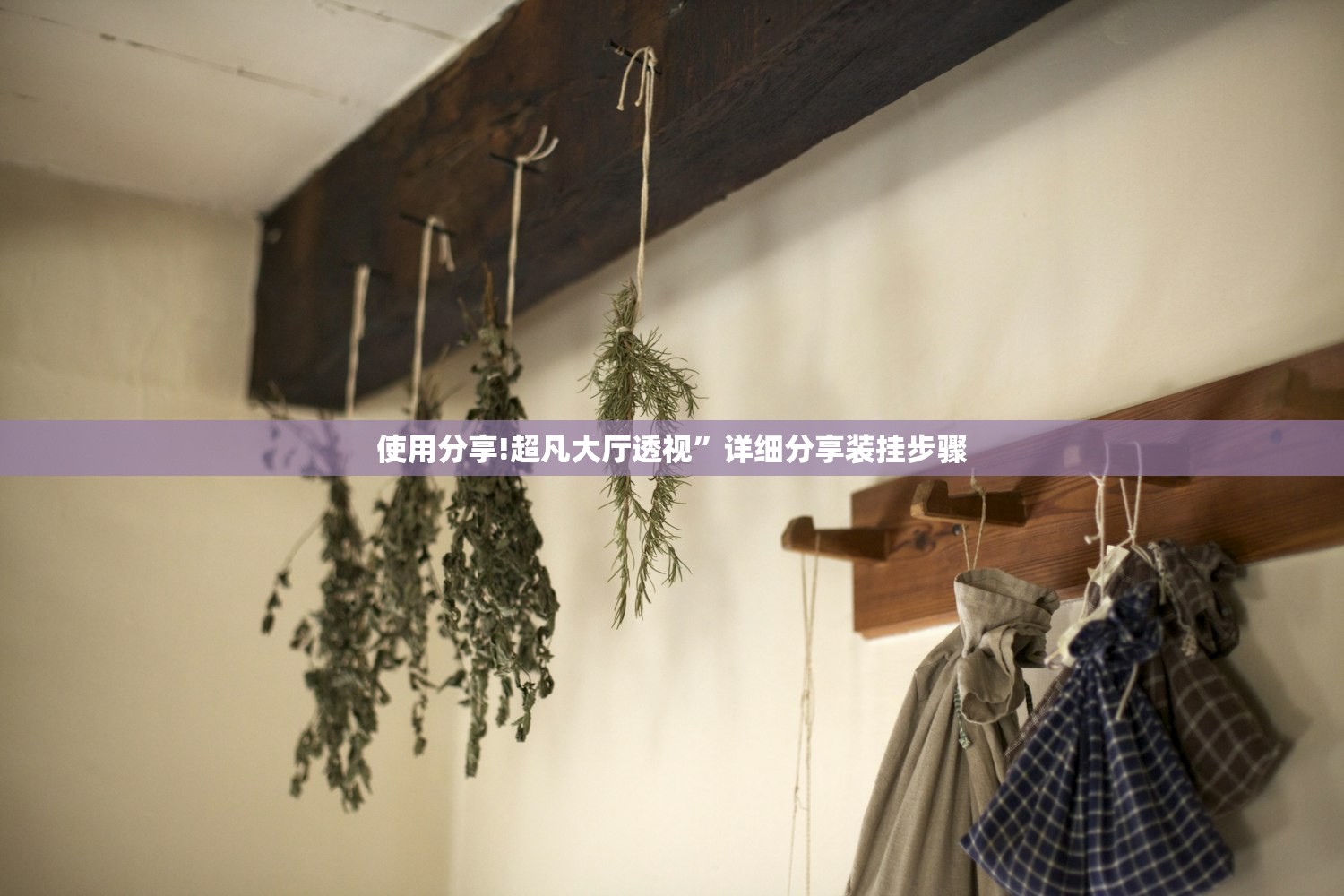 使用分享!超凡大厅透视”详细分享装挂步骤