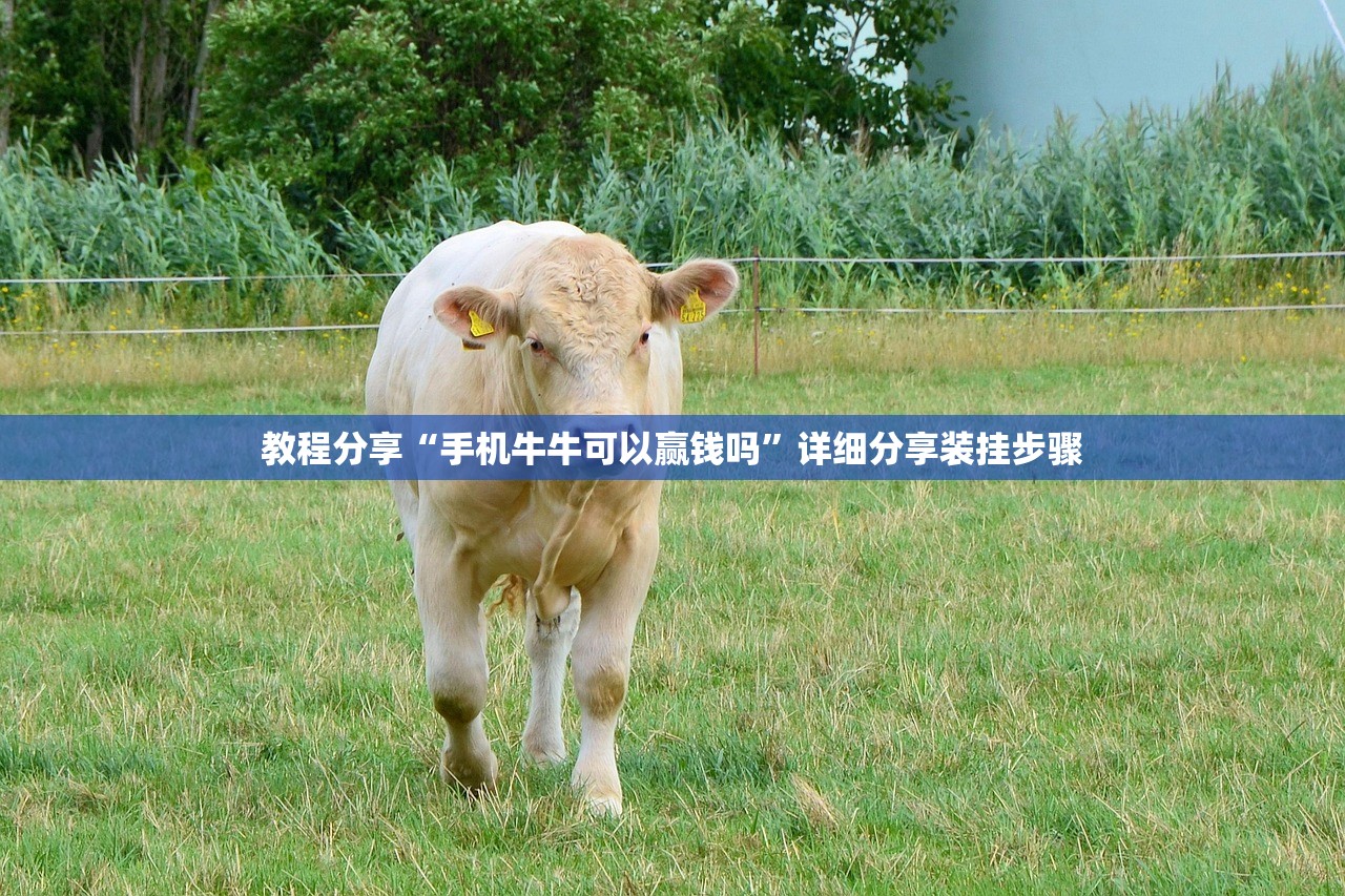 教程分享“手机牛牛可以赢钱吗	”详细分享装挂步骤