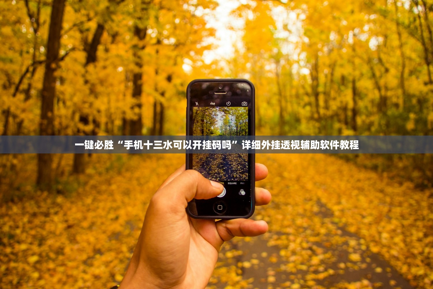一键必胜“手机十三水可以开挂码吗”详细外挂透视辅助软件教程