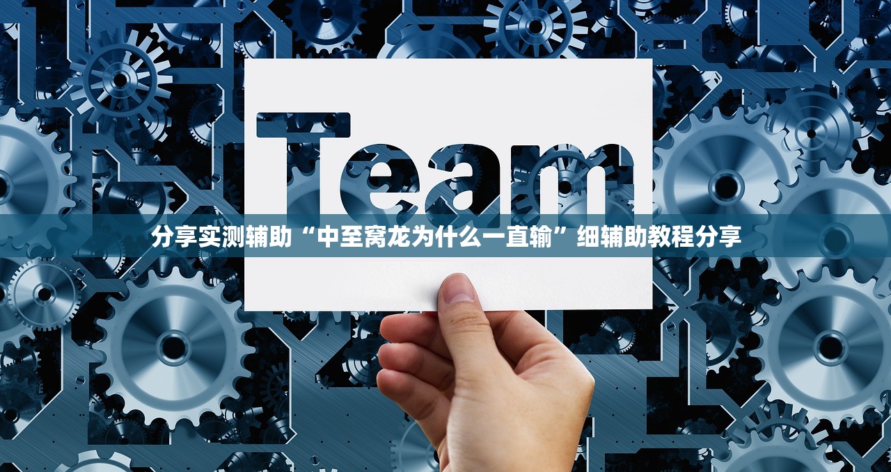 分享实测辅助“中至窝龙为什么一直输”细辅助教程分享
