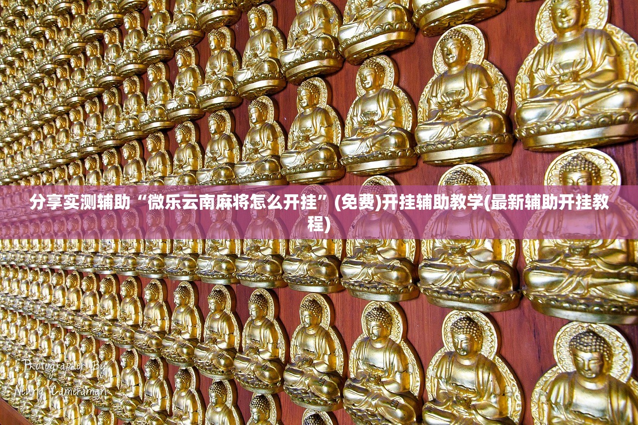 宝马排空气方法:宝马如何排空