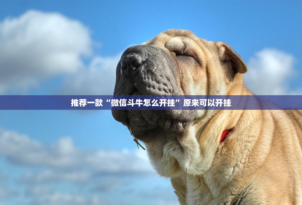 成都限行时间新规2020年12月/成都限行时间新规2020年4月
