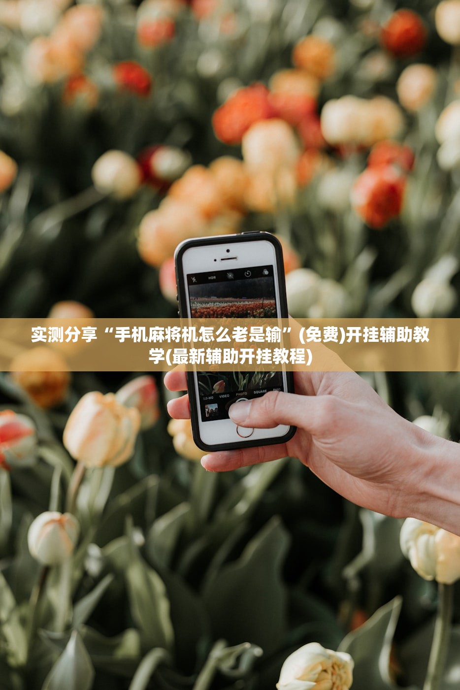 【全国中高风险区域清零/我国中高风险区域清零】